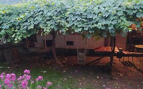 Guest House Nene