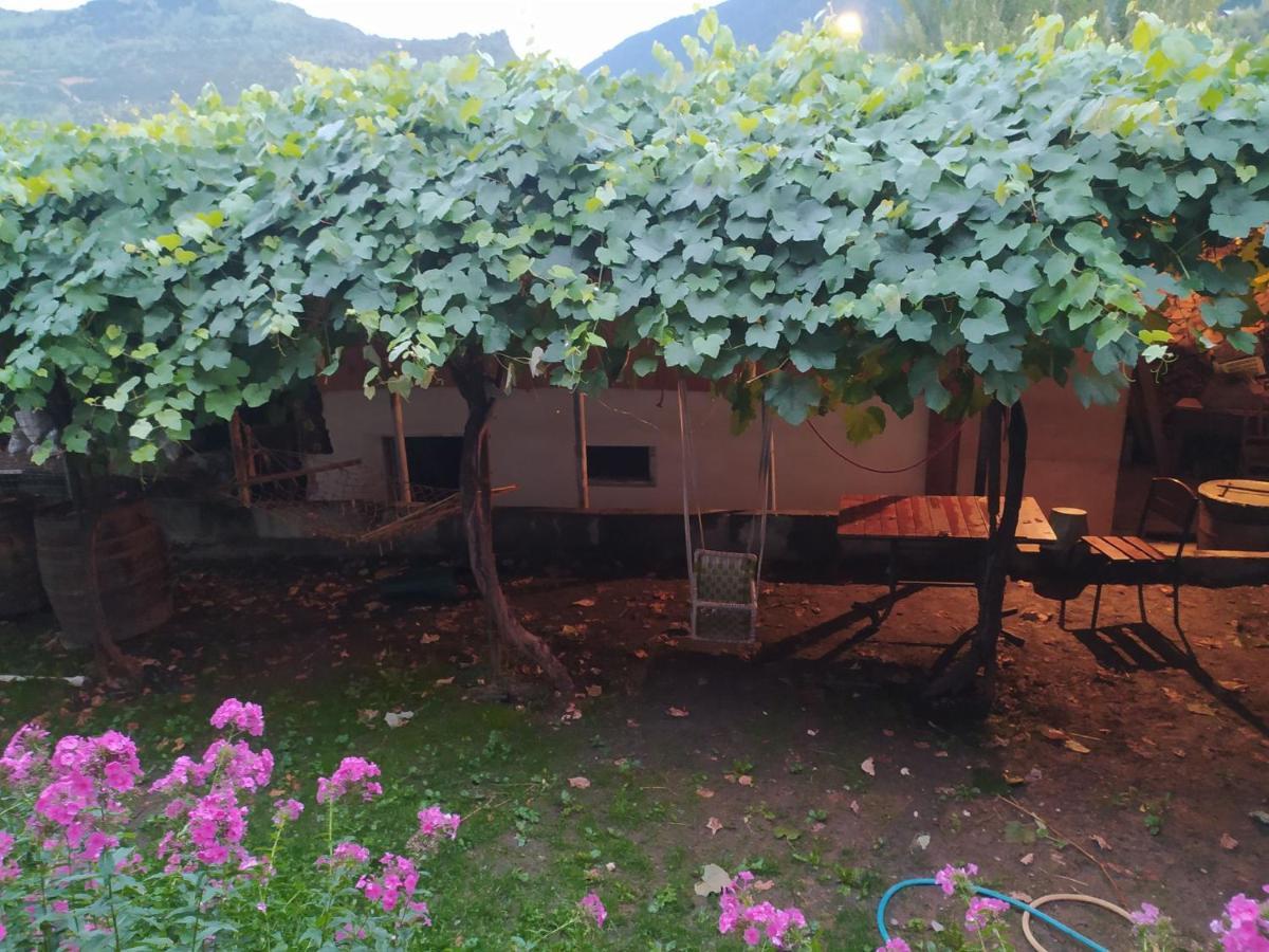 Guest House Nene Mestia Zewnętrze zdjęcie