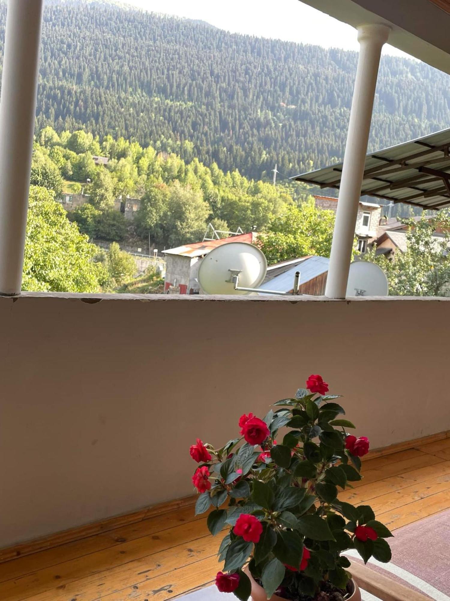 Guest House Nene Mestia Zewnętrze zdjęcie